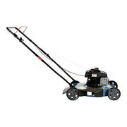 View Gas Lawn Mower, 20-Inch, 125 cc 4-Cycle Briggs & Stratton Engine, Push Lawnmower image 6