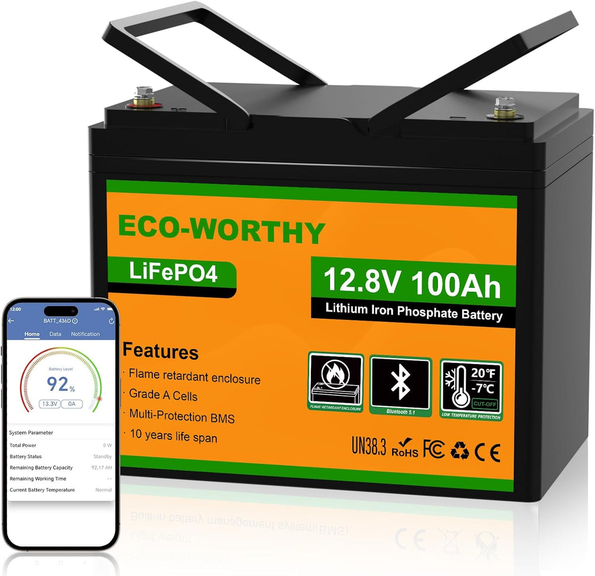 ECO-WORTHY LiFePO4 12V 100Ah Bluetooth mit 100A BMS Low Temperature Schutz und Max. 15000 Zyklens,1280Wh Lithium Batterie 12V 100Ah Autobatterie für