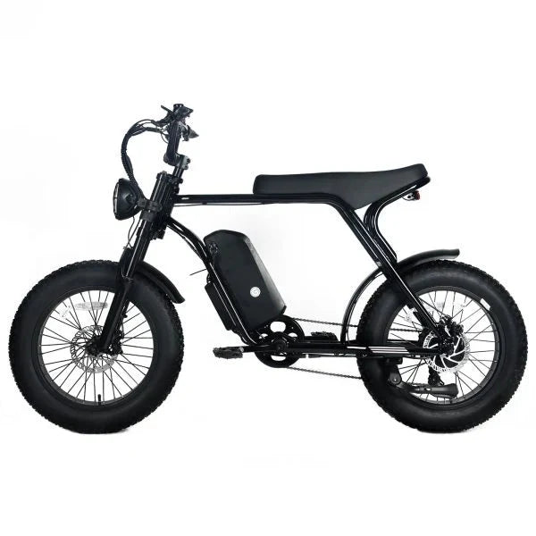 Electric Mountain Bike for Adults | 20 x 4.0 Fat Tires, 1000W Motor, 48V 20Ah Removable Battery, Max Speed 45MPH, Shi Mano 7-Speed for Off-Road