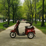 View Arvo Seniorenmobil P300 Rot image 3