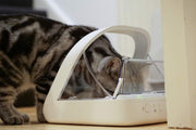 View Sure Petcare SureFeed Mikrochip-Futterautomat für Haustiere, mit dichtem Deckelverschluss, kompatibel mit RFID-Halsbandanhänger, geeignet für Nass- image 3