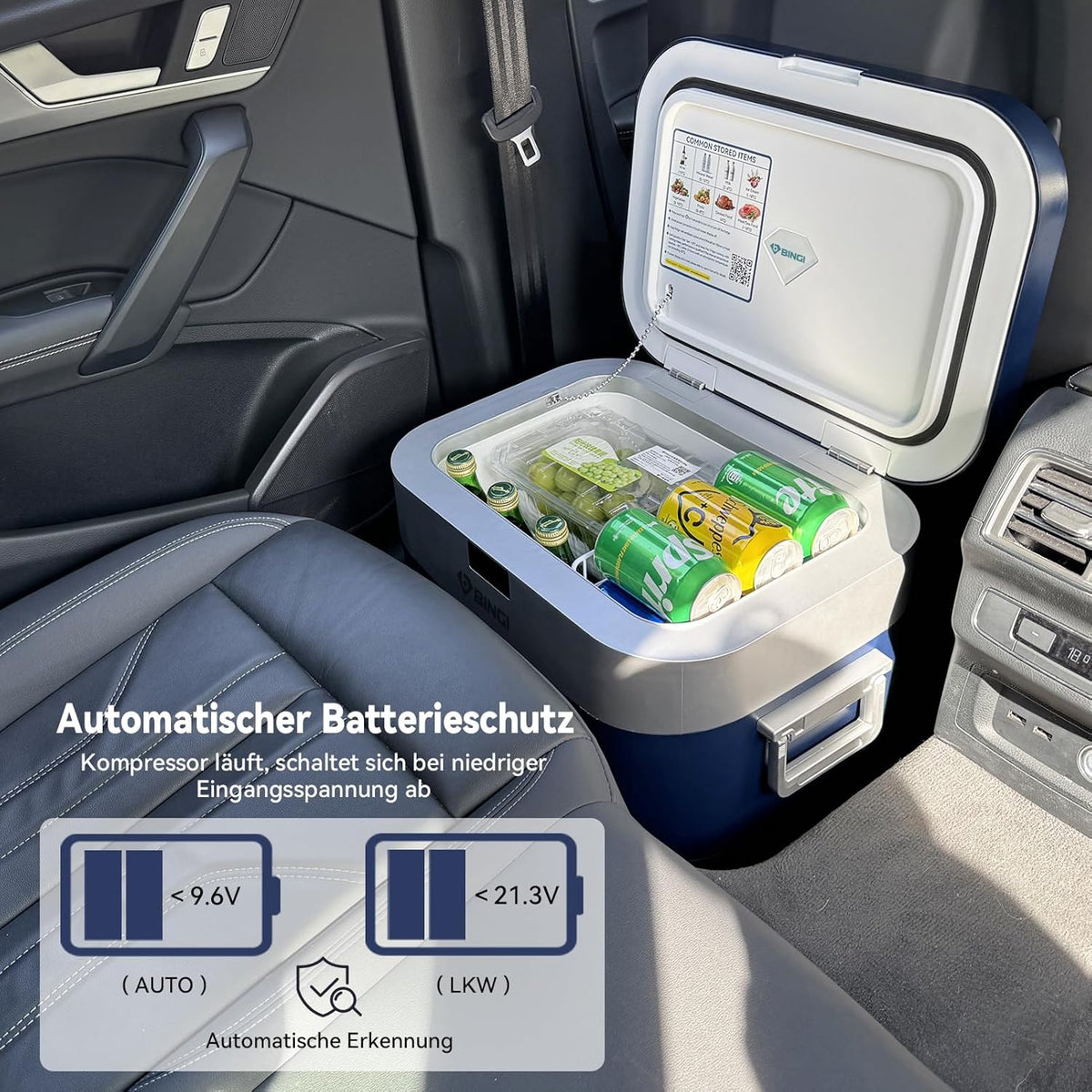 BINGI Kompressor Kühlbox 22L Mini Tragbarer Elektrischer Kühlschrank 12/24V DC Elektrischer Gefrierschrank Tragbarer Gefrierschrank für Auto LKW