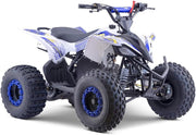 View MINIQuad Infantil 125cc Gasolina automático con Marcha atrás, Azul, Carga máxima 120 kg (Solo para circuitos Cerrados) image 1