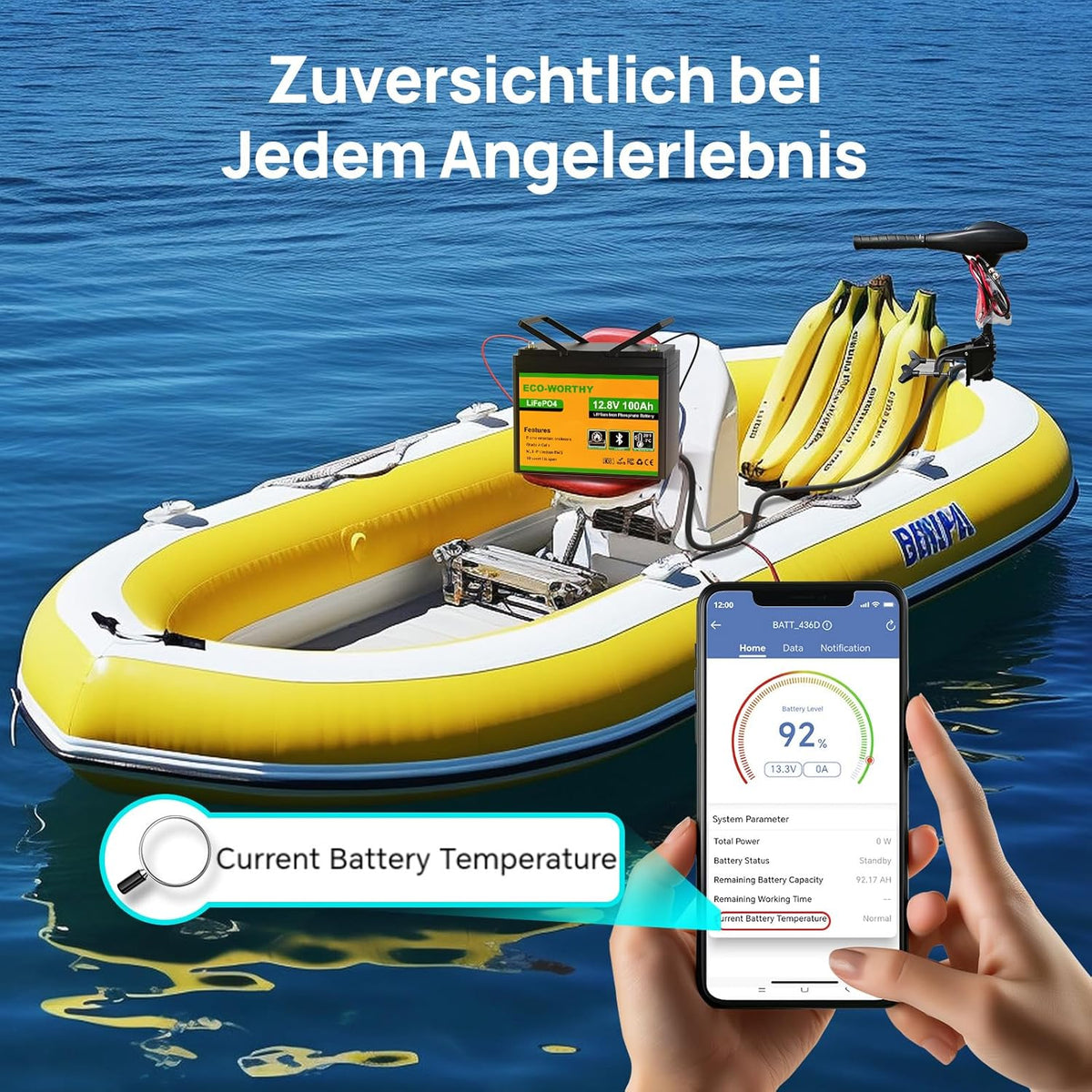 ECO-WORTHY LiFePO4 12V 100Ah Bluetooth mit 100A BMS Low Temperature Schutz und Max. 15000 Zyklens,1280Wh Lithium Batterie 12V 100Ah Autobatterie für