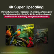 View LG 55UA75006LA TV 55 Zoll (139 cm) 4K UHD AI TV (α7 Gen8 4K AI Prozessor, webOS 25, 60Hz) [Modelljahr 2025] image 5