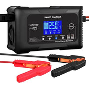 View 25-Amp Smart Battery Charger,Lithium,LiFePO4,Lead-Acid AGM/Gel/SLA.. Car Battery Charger,Trickle Charger, Maintainer/deep Cycle Charger,12V/25A and image 1
