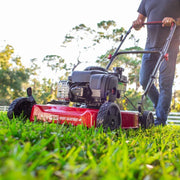 View 20-Inch 125Cc Gas Push Mower with Briggs & Stratton Engine image 2