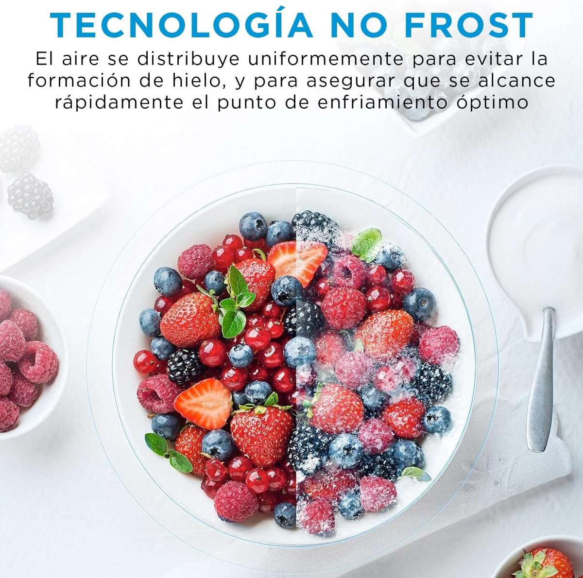 Midea Frigorífico Combi No Frost | 60 cm ancho x 188 alto cm | Inox | Nevera libre instalación 224 L + 86 L Congelador - Refrigerador de bajo consumo