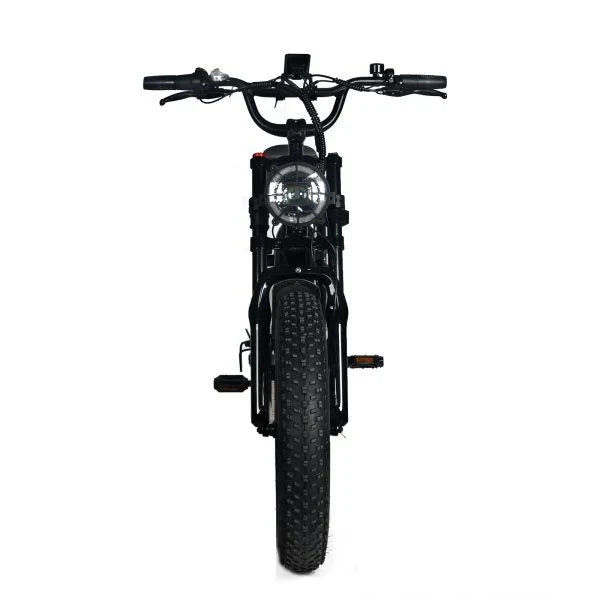 Electric Mountain Bike for Adults | 20 x 4.0 Fat Tires, 1000W Motor, 48V 20Ah Removable Battery, Max Speed 45MPH, Shi Mano 7-Speed for Off-Road