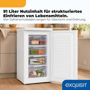 View Exquisit Gefrierschrank | 91 l Nutzinhalt, Energieeffizienzklasse E, 40 dB(A) | kompakte Bauform, 4-Sterne-Gefrieren, manuelle Temperaturregelung, image 5